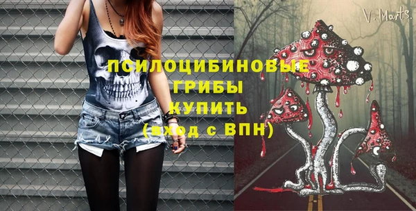 a pvp Заводоуковск