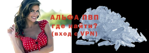 стафф Заволжье