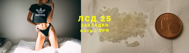 шишки Зеленодольск