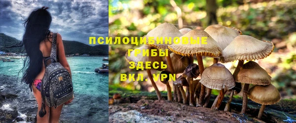 стафф Заволжье
