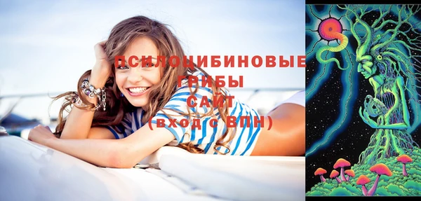 стафф Заволжье